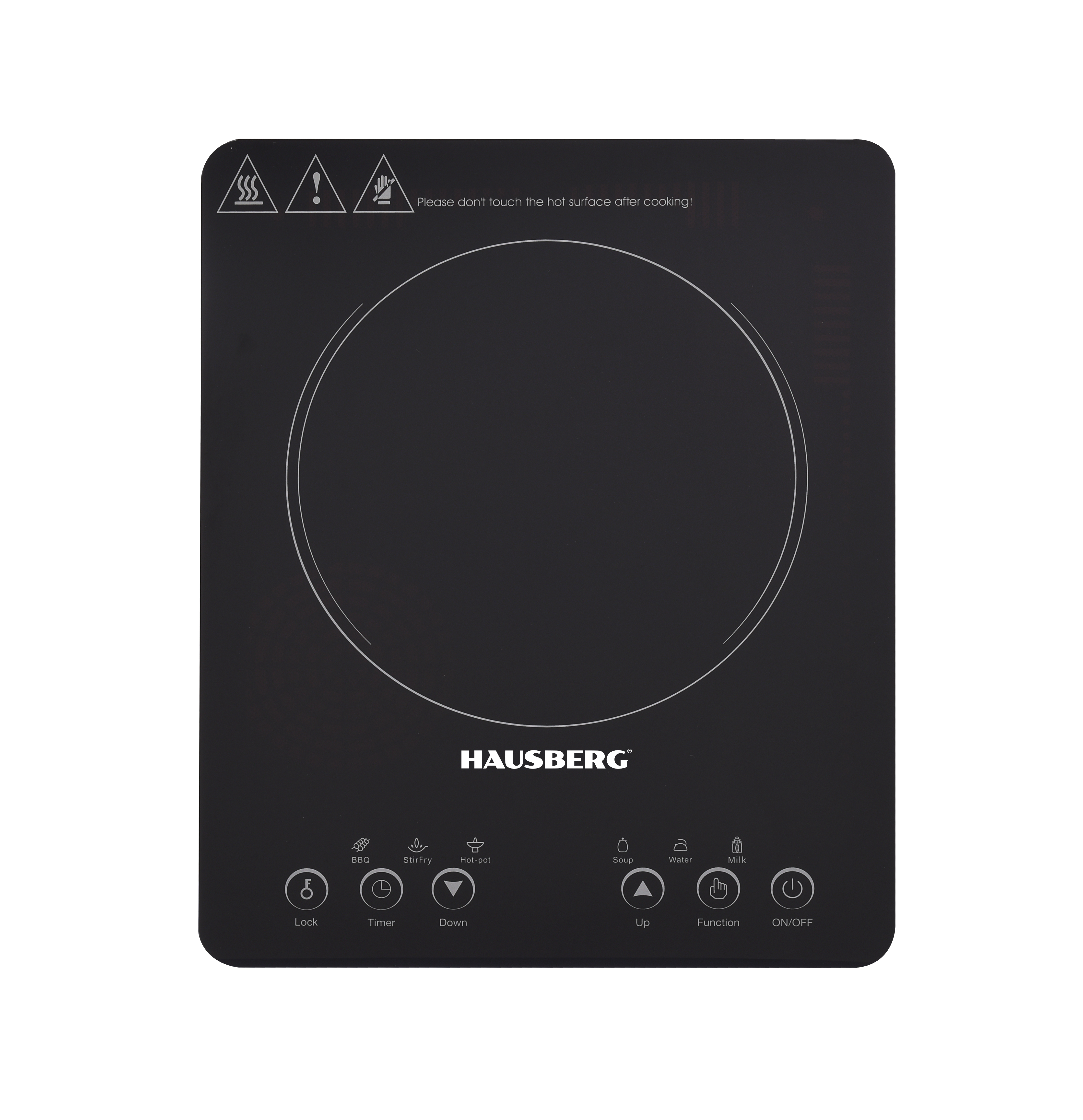 INDUCTION COOKER