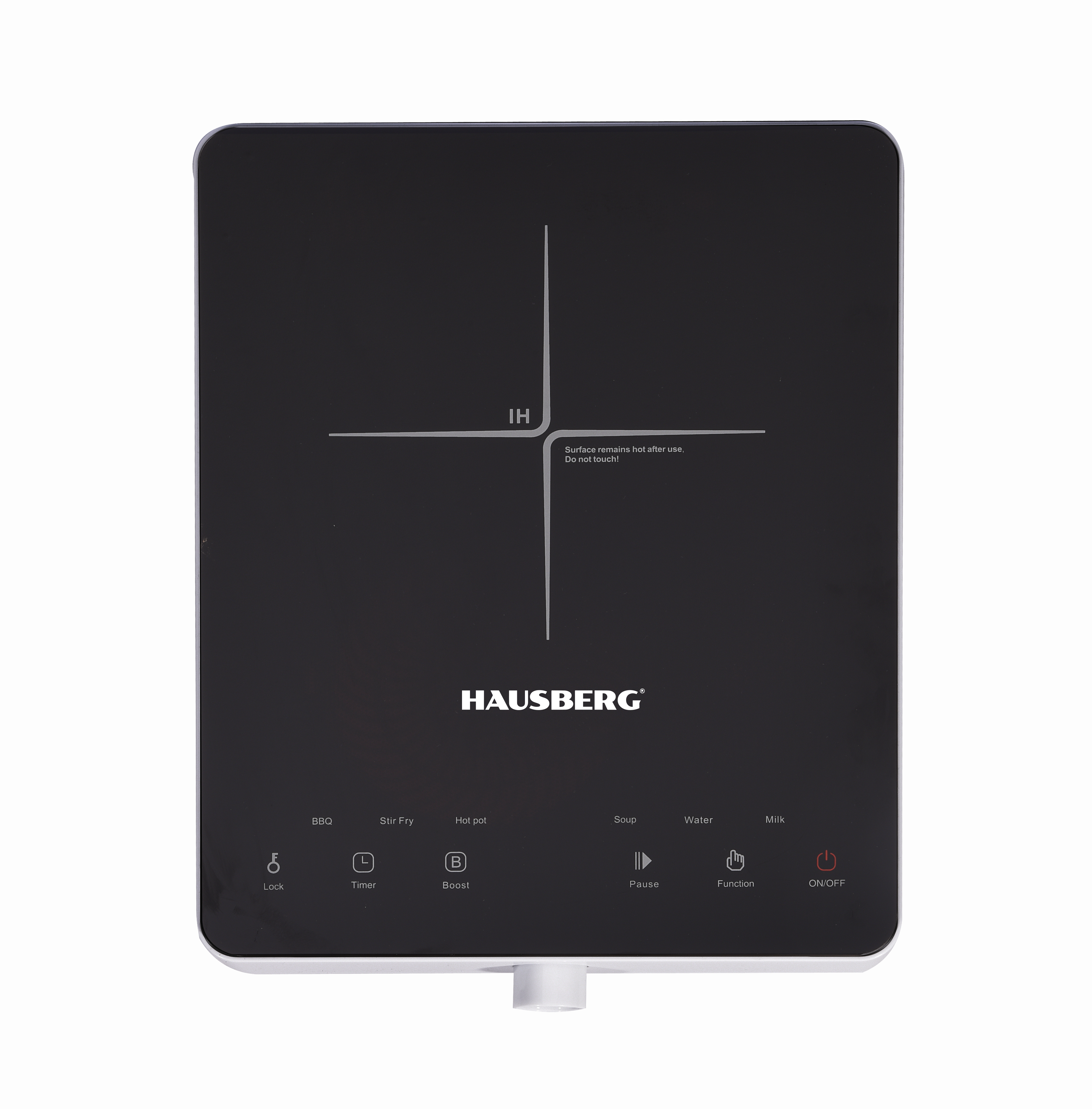 INDUCTION COOKER