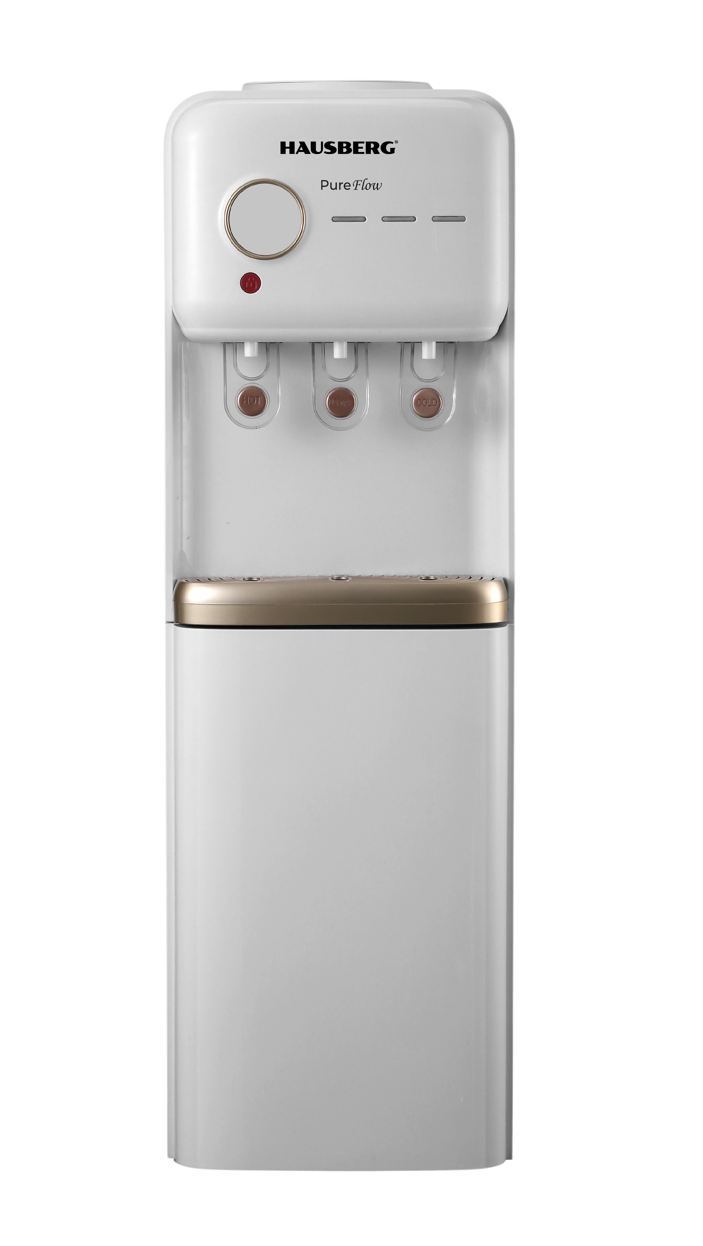 ELECTRIC WATER DISPENSER WITH REFRIGERATOR